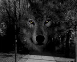Third book in the Vampire Series coming soon!